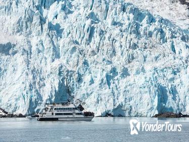 Anchorage Shore Excursion to Kenai Fjords National Park Cruise
