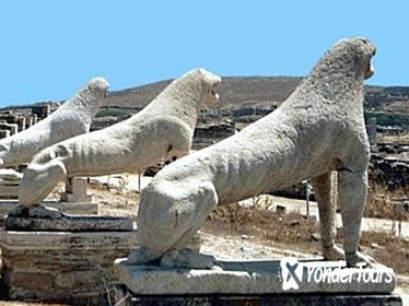 Ancient Delos Tour and Cooking Class in Mykonos Ancient Delos Tour and Cooking Class in Mykonos