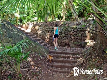 Ancient Oahu Circle Island Tour From Waikiki