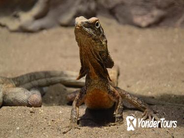 Antalya Aquarium and Wildpark Reptile House Admission with Transfer Upgrade