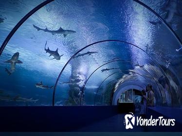 Antalya Aquarium Ticket with Optional Transfer