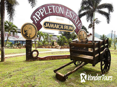 Appleton Estate Rum Tour and Tasting from Negril