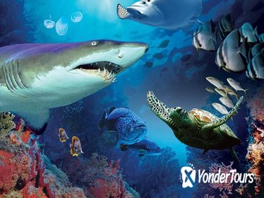 Aquaria KLCC Admission Ticket & Free Kuala Lumpur City Tour