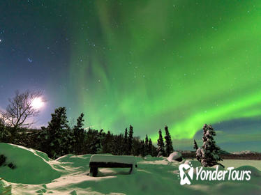 Arctic Circle and Northern Lights Tour from Fairbanks