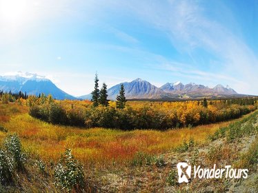 Arctic Day: Kluane National Park Tour