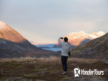 Arctic Fjords Road Trip