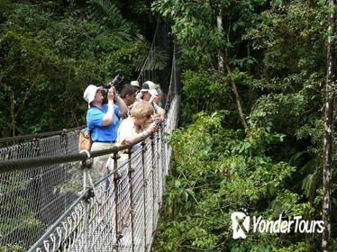 Arenal Hanging Bridges in Mistico Park