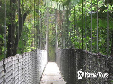 Arenal Hanging Bridges Nature Tour