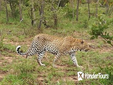 Around Zimbabwe 12 Days Mobile Safaris