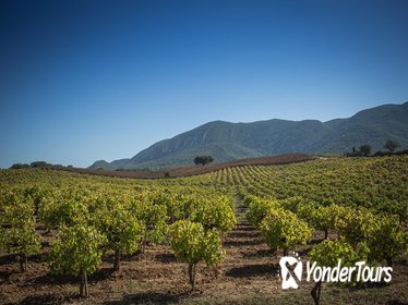 Arrábida Wine Tour