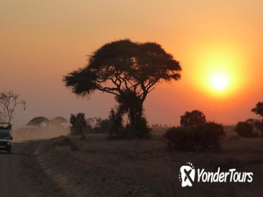 ARUSHA NATIONAL PARK HALF DAY TOUR FROM ARUSHA TOWN ARUSHA NATIONAL PARK HALF DAY TOUR FROM ARUSHA TOWN