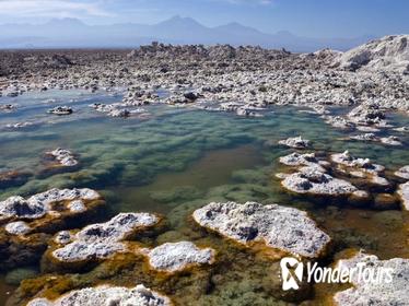 Atacama Salt Flat and Toconao Tour from San Pedro