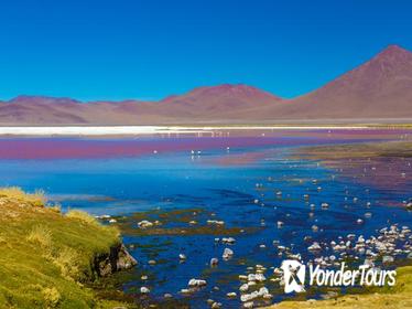 Atacama Salt Flat Lagoons Tour Including Ojos del Salar from San Pedro de Atacama