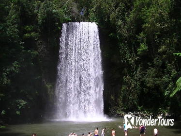 Atherton Tablelands Waterfalls Day Trip from Cairns