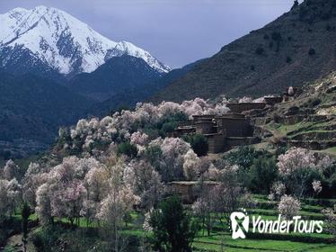 Atlas Mountains and 4 Valleys Private Tour from Marrakech