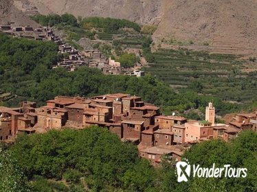 Atlas Mountains Day Tour from Marrakech, Including Camel Ride and Berber Guest House
