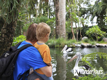 Attica Zoological Park with Optional Shopping Experience and Private Transport from Athens Attica Zoological Park with Optional Shopping Experience and Private Transport from Athens