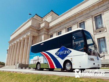 Auckland City Highlights Tour with Harbour Cruise and Sky Tower Admission