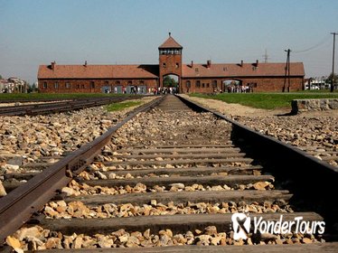 Auschwitz- Birkenau and Wieliczka Salt Mine in One Day