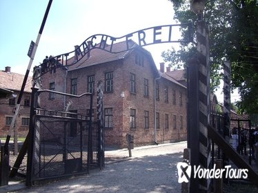 Auschwitz-Birkenau and Wieliczka Salt Mine Guided Tour from Krakow