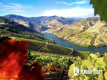 Authentic Douro Wine Tour Including Lunch