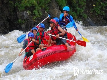 Ayung Rafting and Ubud Tour