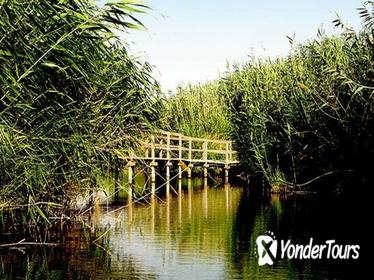 Azraq Wetland Private Half Day Tour from Amman