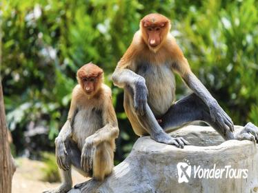 Bako National Park Full-Day Tour from Kuching