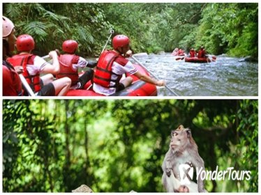 Bali Ayung River Rafting and Ubud Monkey Forest Tour