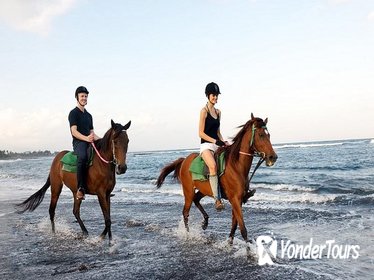 Bali Beach Horse Riding with 2 Hours Spa Experience Bali Beach Horse Riding with 2 Hours Spa Experience
