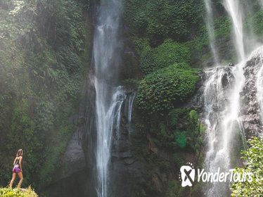 Bali Day Tour of Sunrise Watch at Kintamani, Lemukih Rice Field and Sekumpul Waterfalls