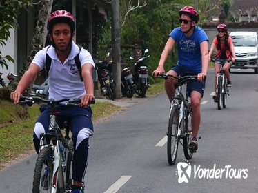 Bali Downhill Cultural Cycling Tour