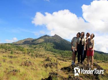 Bali Sightseeing Day Trip from Temples, Volcano to Hot Spring