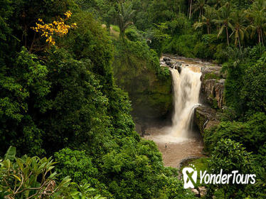 Bali Tegenungan Waterfall, Temple, and Monkey Forest Private Tour