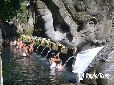 Bali Traditional Tours