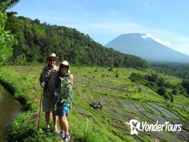 Bali Trekking Tour Including Tirta Gangga and Virgin Beach