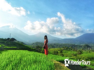 Bali Unesco World Heritages Jatiluwih Rice Terrace Tours