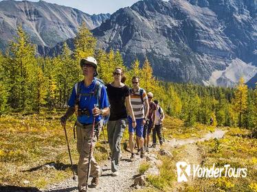 Banff National Park Guided Hike with Lunch