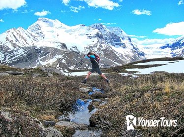 Banff to Jasper One-Way Tour