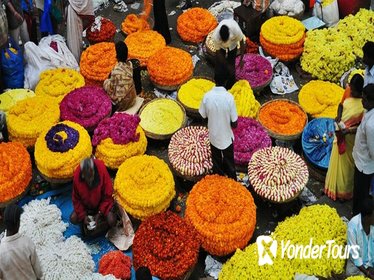 Bangalore Culture and Heritage Walking Tour