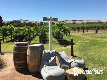 Barossa Valley Day Trip from Adelaide Including Gourmet Pizza Lunch