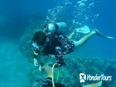 Baru Island Scuba Diving Experience