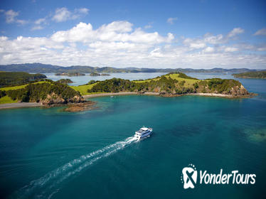 Bay of Islands (Paihia) to Auckland One-Way Tour