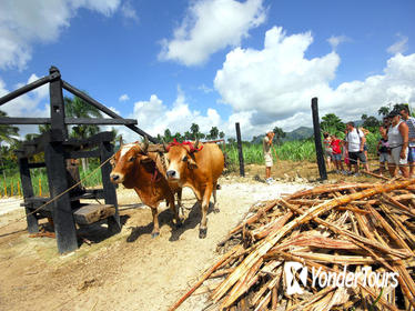 Bayahibe Countryside Safari from La Romana