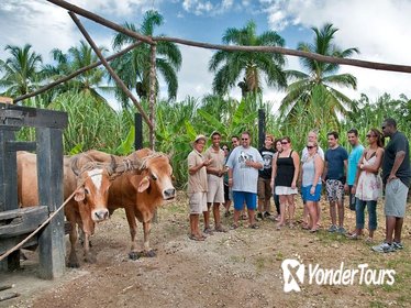 Bayahibe La Romana Discovery Full Day Tour