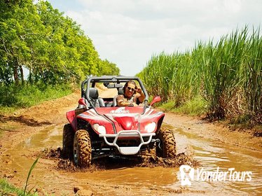 Bayahibe Racing Buggy