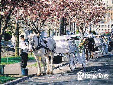 Beacon Hill Park Carriage Tour