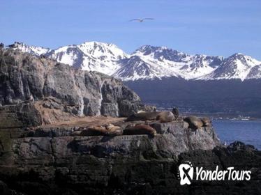 Beagle Channel Yacht Sailing Tour from Ushuaia