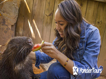 Behind-the-Scenes Tour at Wild Florida