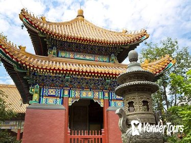 Beijing City Coach Tour: Hutongs, Beijing Zoo and Lama Temple
